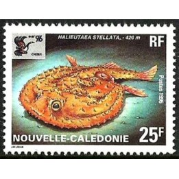 Nouvelle-Caledonie - 0710