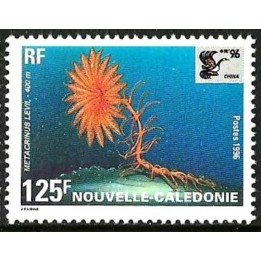 Nouvelle-Caledonie - 0713