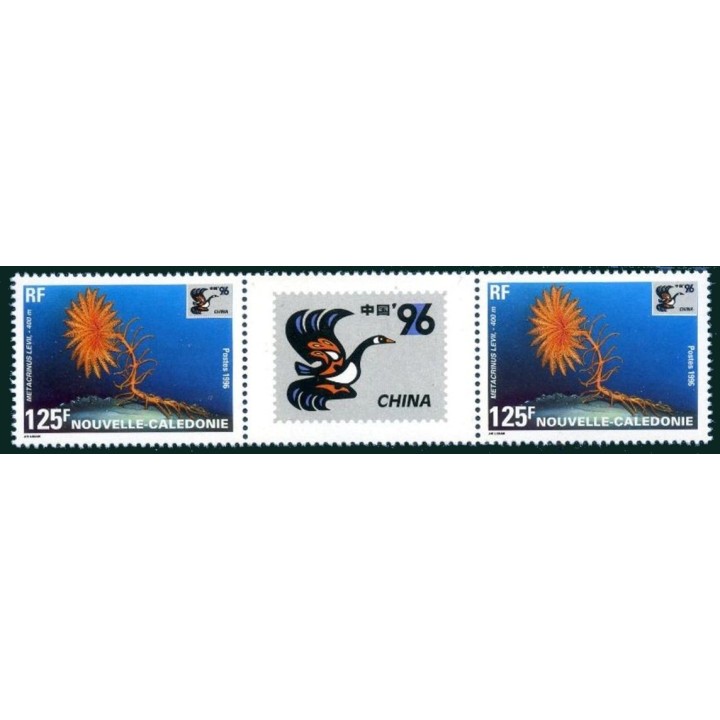 Nouvelle-Caledonie - 0713A