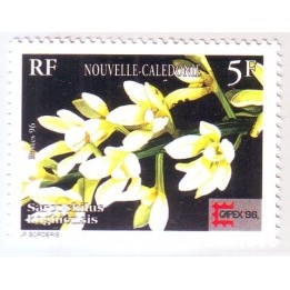 Nouvelle-Caledonie - 0714