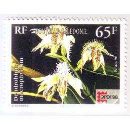 Nouvelle-Caledonie - 0717