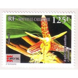 Nouvelle-Caledonie - 0719