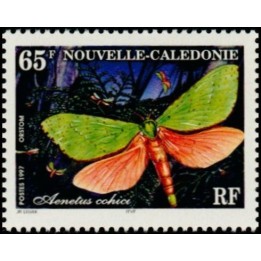 Nouvelle-Caledonie - 0731