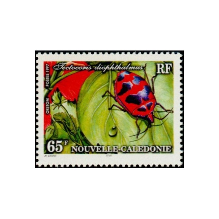 Nouvelle-Caledonie - 0732