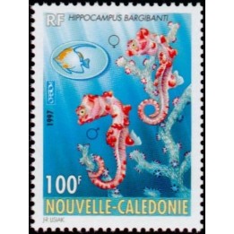 Nouvelle-Caledonie - 0740