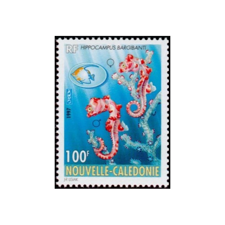 Nouvelle-Caledonie - 0740