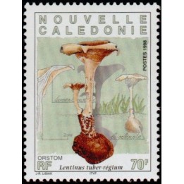 Nouvelle-Caledonie - 0750