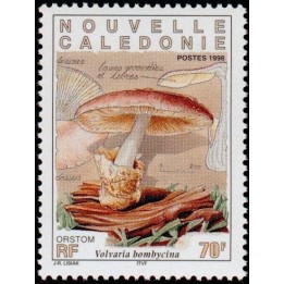 Nouvelle-Caledonie - 0751
