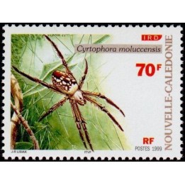 Nouvelle-Caledonie - 0785