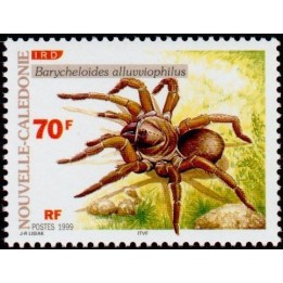 Nouvelle-Caledonie - 0787