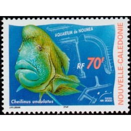 Nouvelle-Caledonie - 0815