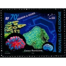 Nouvelle-Caledonie - 0816
