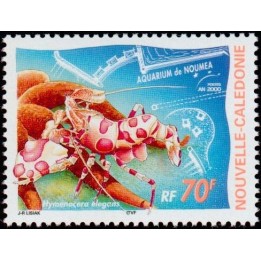 Nouvelle-Caledonie - 0817