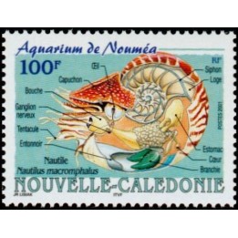 Nouvelle-Caledonie - 0841