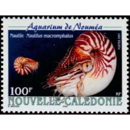 Nouvelle-Caledonie - 0842