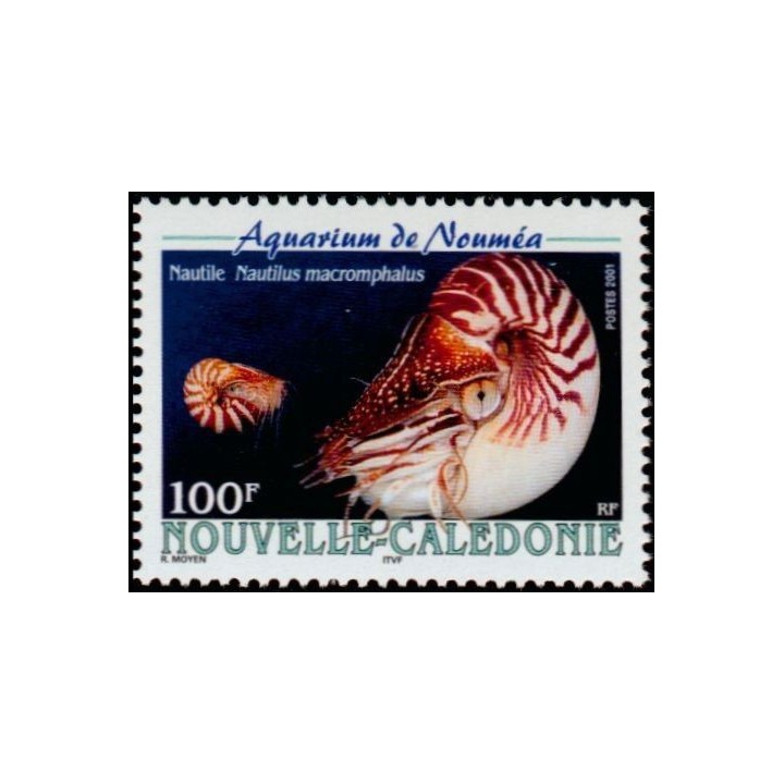 Nouvelle-Caledonie - 0842