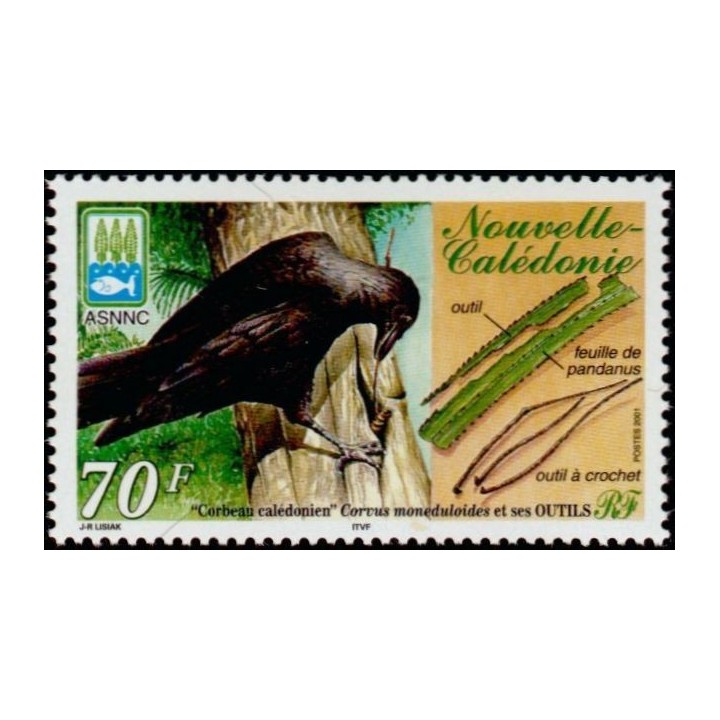 Nouvelle-Caledonie - 0843