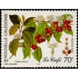Nouvelle-Caledonie - 0869