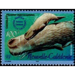 Nouvelle-Caledonie - 0876