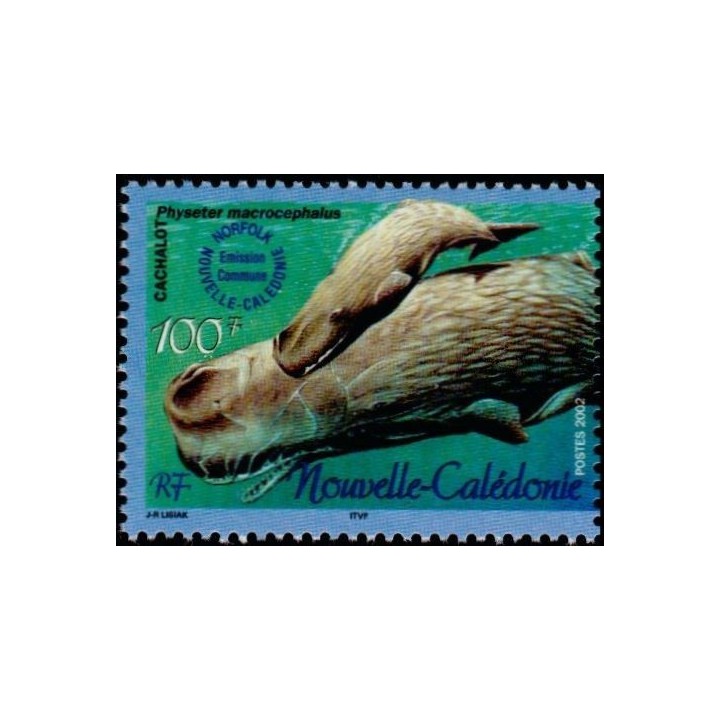 Nouvelle-Caledonie - 0876