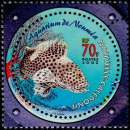 Nouvelle-Caledonie - 0890