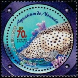 Nouvelle-Caledonie - 0892