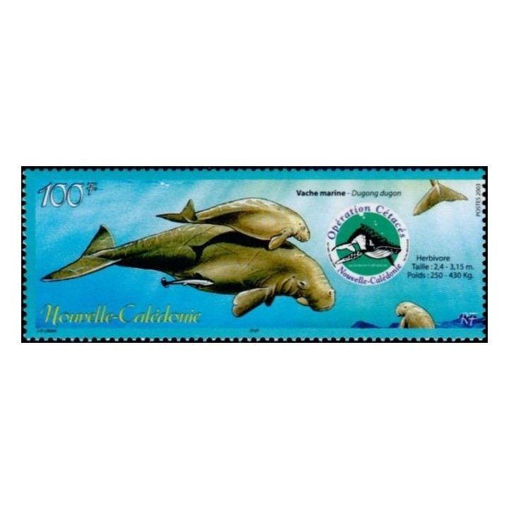 Nouvelle-Caledonie - 0898