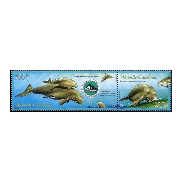 Nouvelle-Caledonie - 0898A