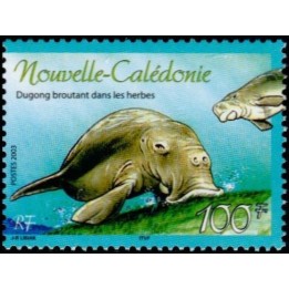 Nouvelle-Caledonie - 0899