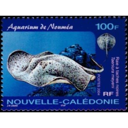 Nouvelle-Caledonie - 0916