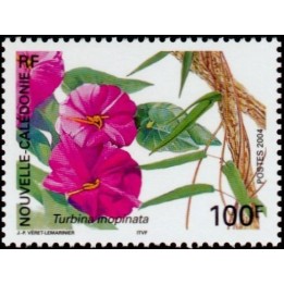Nouvelle-Caledonie - 0920