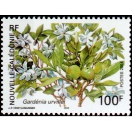 Nouvelle-Caledonie - 0921