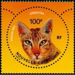 Nouvelle-Caledonie - 0924
