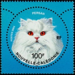 Nouvelle-Caledonie - 0925