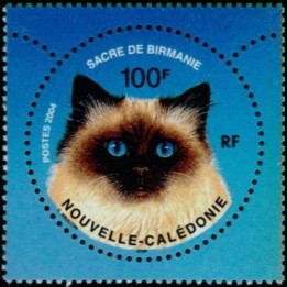 Nouvelle-Caledonie - 0926