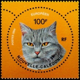 Nouvelle-Caledonie - 0927