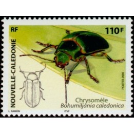 Nouvelle-Caledonie - 0960