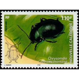 Nouvelle-Caledonie - 0961