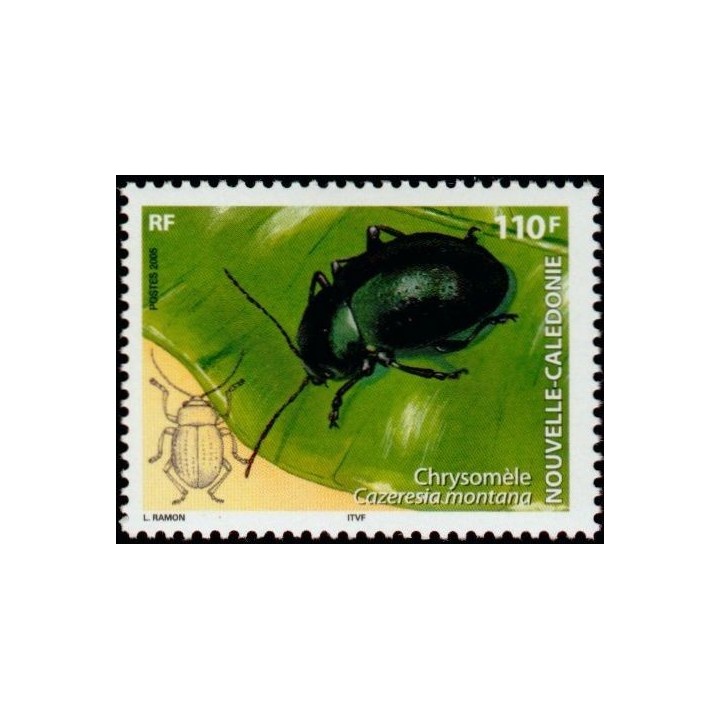 Nouvelle-Caledonie - 0961