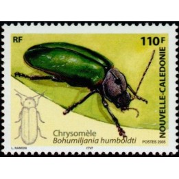 Nouvelle-Caledonie - 0962