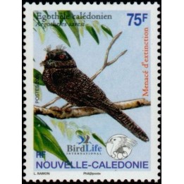 Nouvelle-Caledonie - 0979