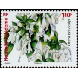 Nouvelle-Caledonie - 0982