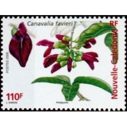 Nouvelle-Caledonie - 0983