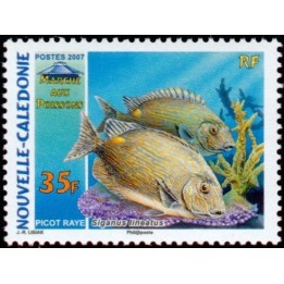 Nouvelle-Caledonie - 0998