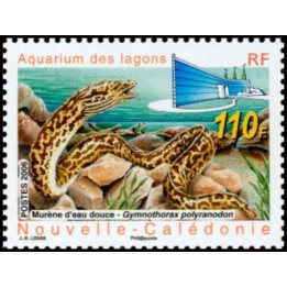 Nouvelle-Caledonie - 1019