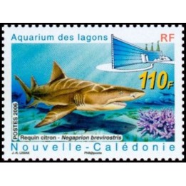 Nouvelle-Caledonie - 1022