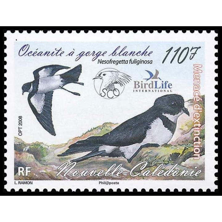 Nouvelle-Caledonie - 1038