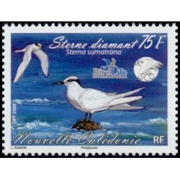 Nouvelle-Caledonie - 1067