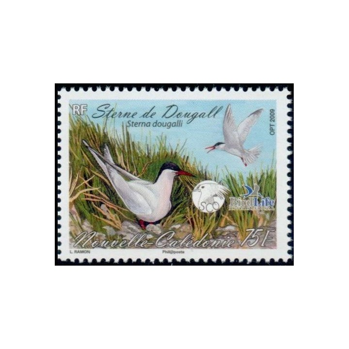 Nouvelle-Caledonie - 1068