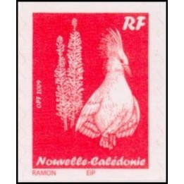 Nouvelle-Caledonie - 1085